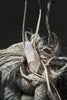 White Quartz - Off White Braided Rope